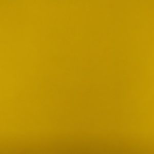 Meet your Posher, Samina